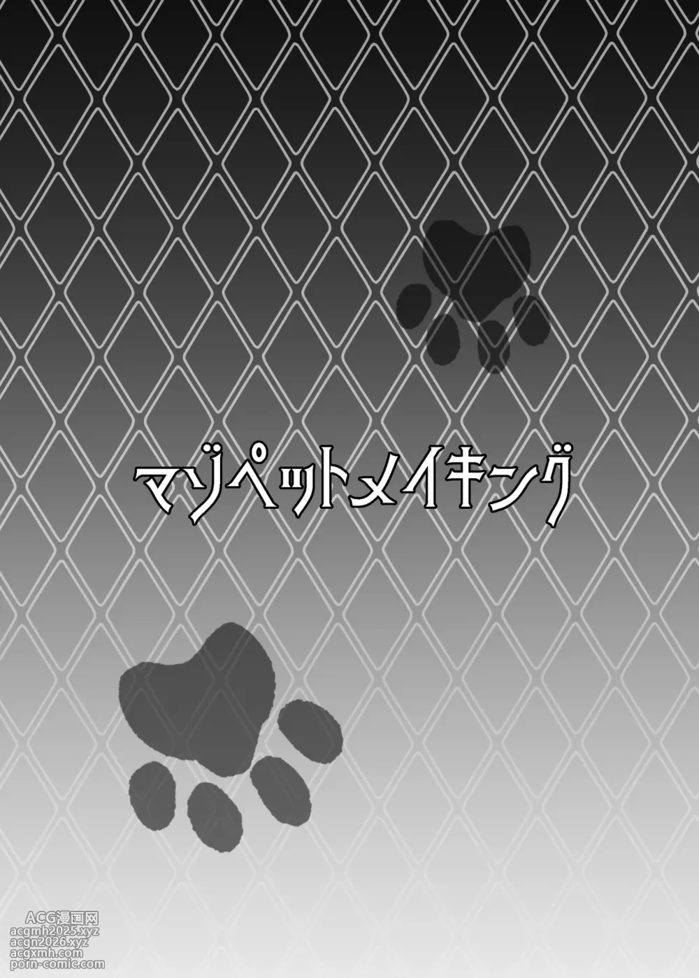 [Dokoka no Yosumi (Sumizumi Yosumi)] Maso Pet Making (Pokémon Black 2 and White 2) [Digital]-3