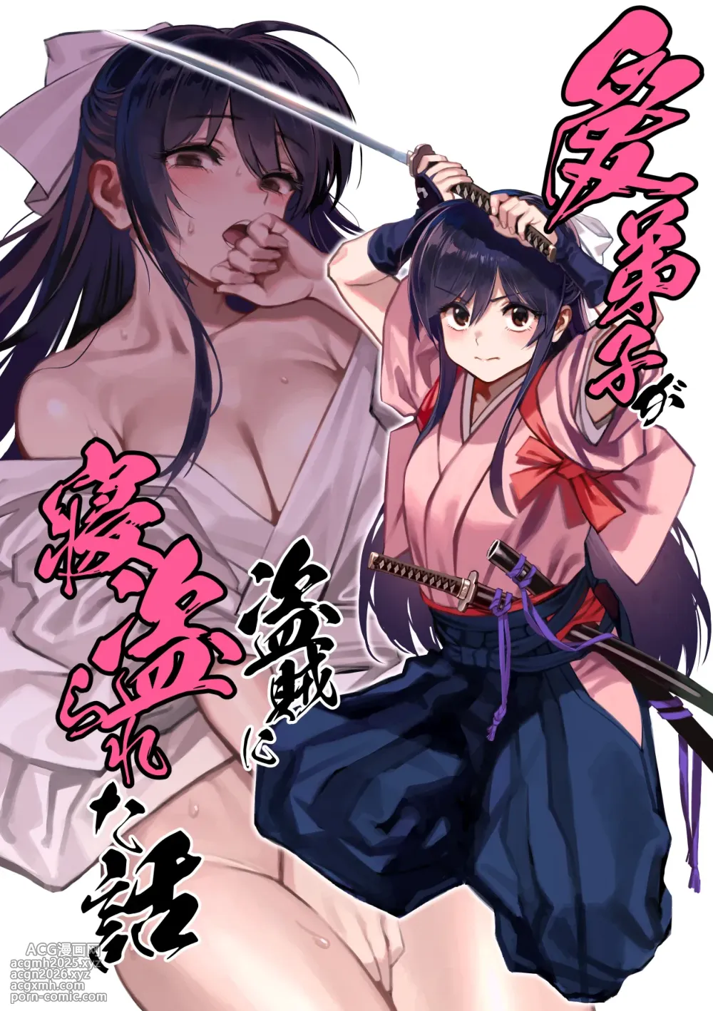 (C106) [Dokudami (Okita Ababa)] Manadeshi ga Touzoku ni Netorareta Hanashi + Paper C106-1
