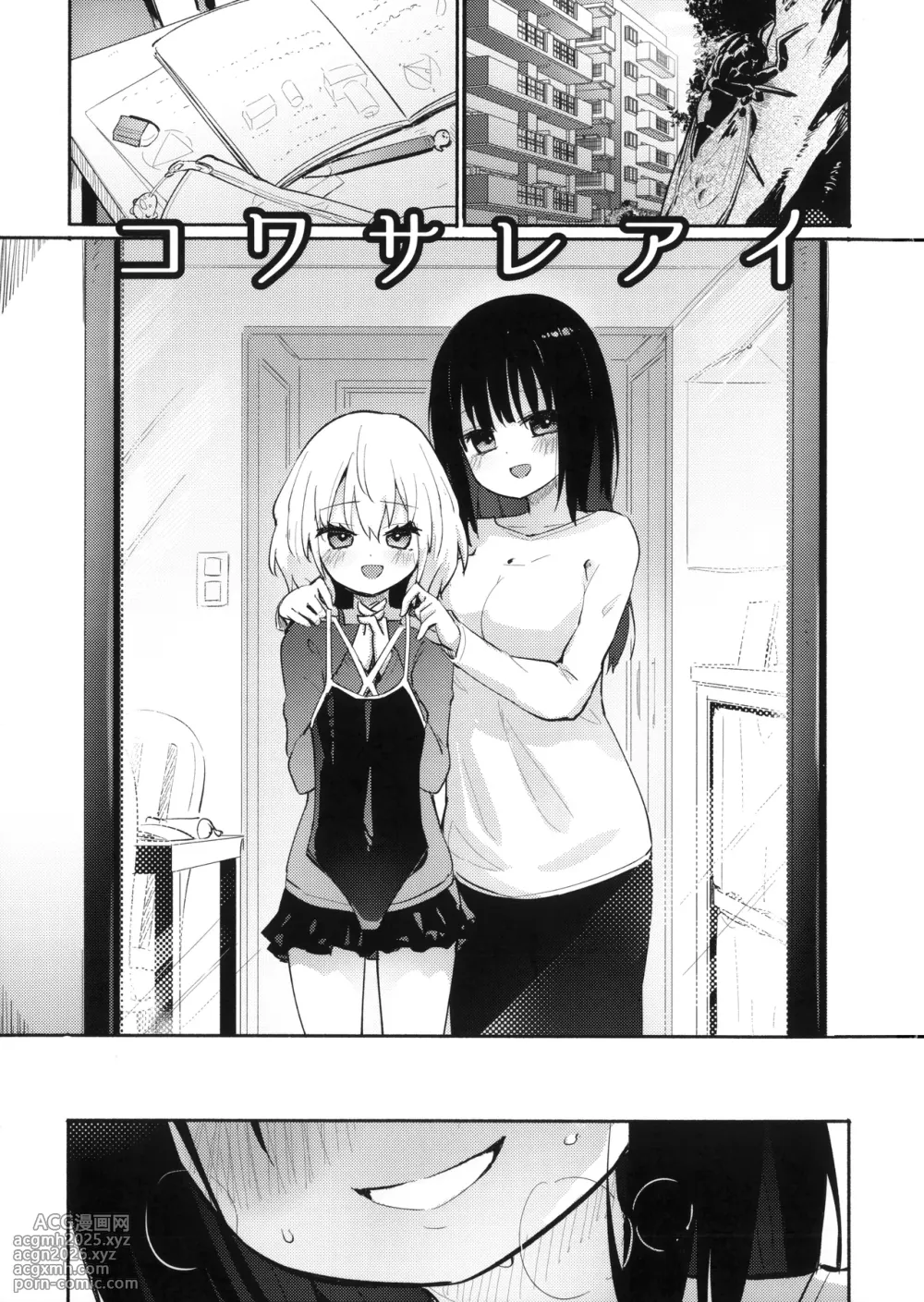 (C106) [Homuraya Pleiades (Homura Subaru)] Kowasare Ai | 支離破碎的愛 [Chinese] [透明声彩汉化组]-2