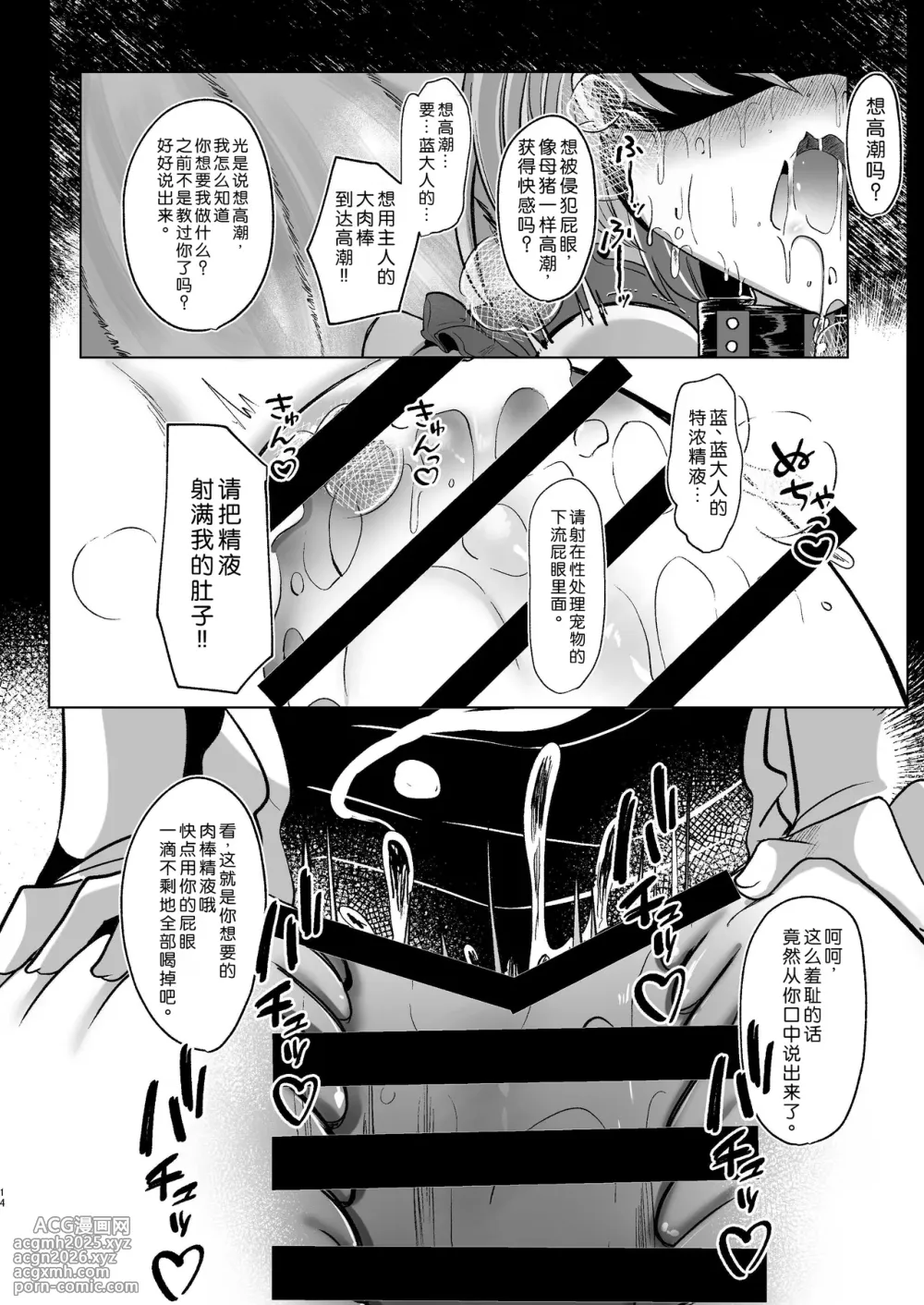 [Kanmi Cat (Miyase Nukko)] Yakumo Ran ga Seishori Pet to Tawamureru Hon (Touhou Project) [Chinese] [Digital]-14