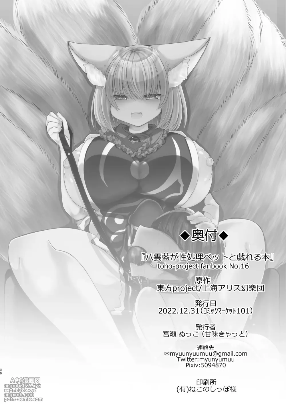 [Kanmi Cat (Miyase Nukko)] Yakumo Ran ga Seishori Pet to Tawamureru Hon (Touhou Project) [Chinese] [Digital]-30