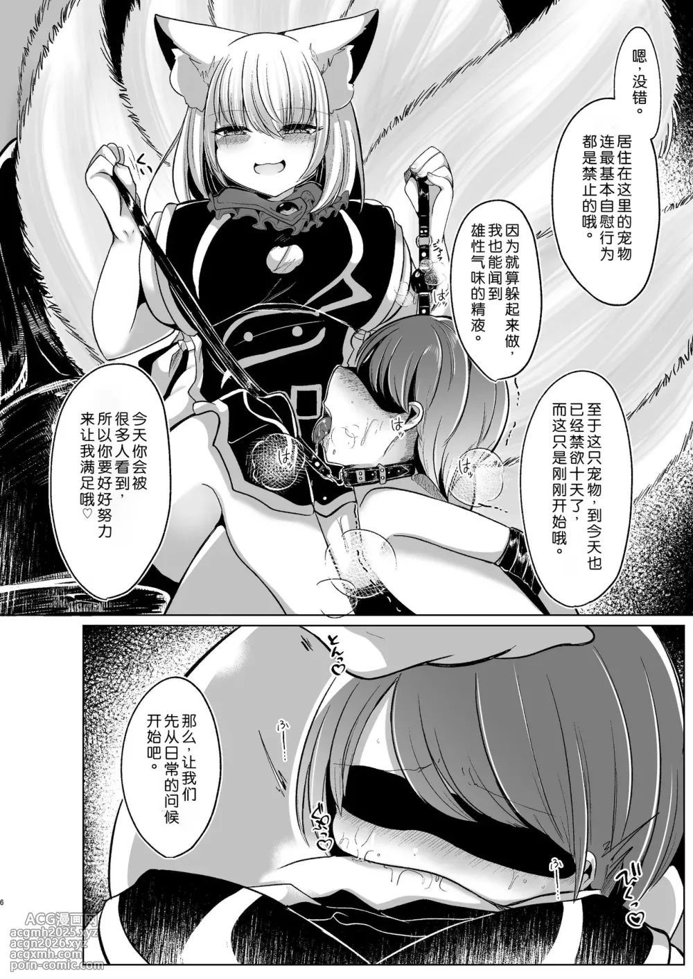 [Kanmi Cat (Miyase Nukko)] Yakumo Ran ga Seishori Pet to Tawamureru Hon (Touhou Project) [Chinese] [Digital]-6