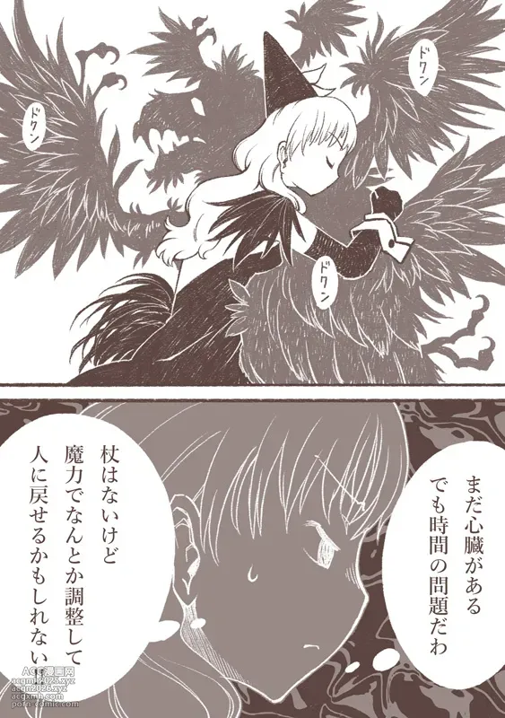 [Siro Kitten-ya (Tora Kitten)] Majo to Karasu Ningen [Digital]-14