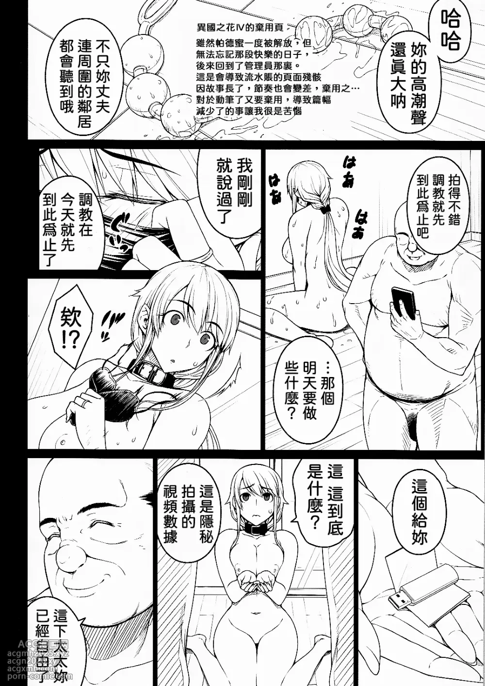 (C101) [Darabuchidou (Darabuchi)] Tsumareta Ikoku no Hana Settei Botsu Page Shuu | 被摘取的異國之花 設定・棄用分頁集 [Chinese] [LibraX个人漢化]-7