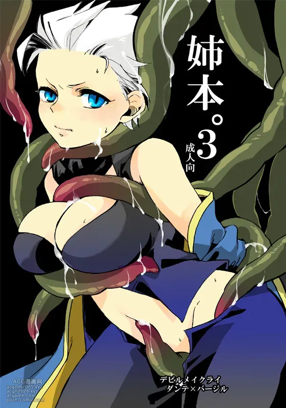 (C82) [TOMMY (トミタ)]姉本。3 [Dante x Vergil](Devil May Cry) [Chinese]-1
