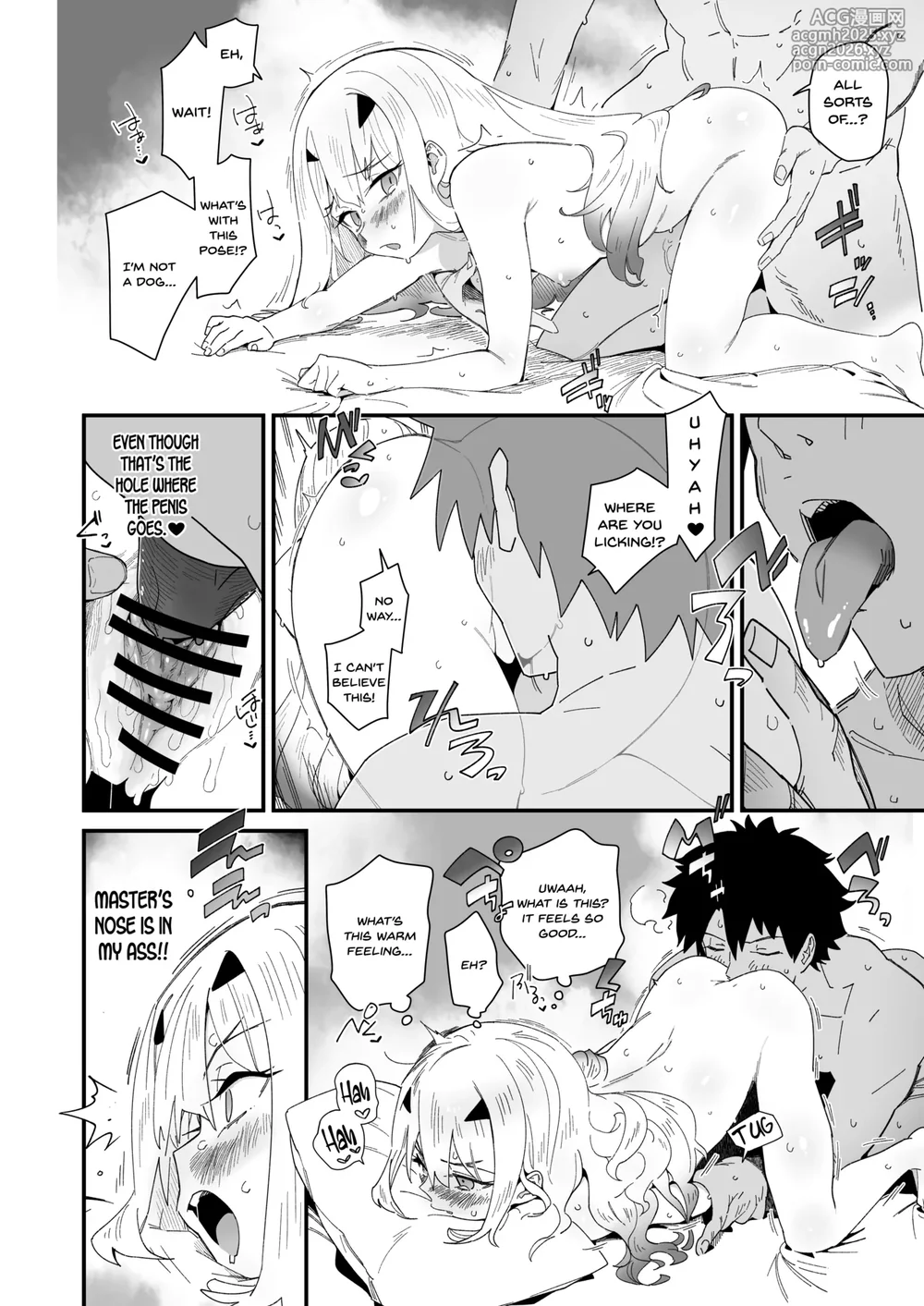 [Sarpaccio (Waira)] Melu-ko wa Guigui Kuru ga Koubi ga Doheta.  + Kakioroshi (Fate/Grand Order) [English] [SDTLs] [Digital]-12
