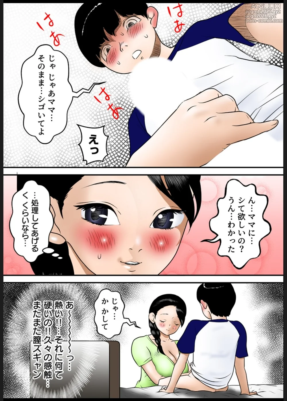 [フカサク・フィッシュ] 可愛い息子にハメられて 線を越えてしまった私たち-11