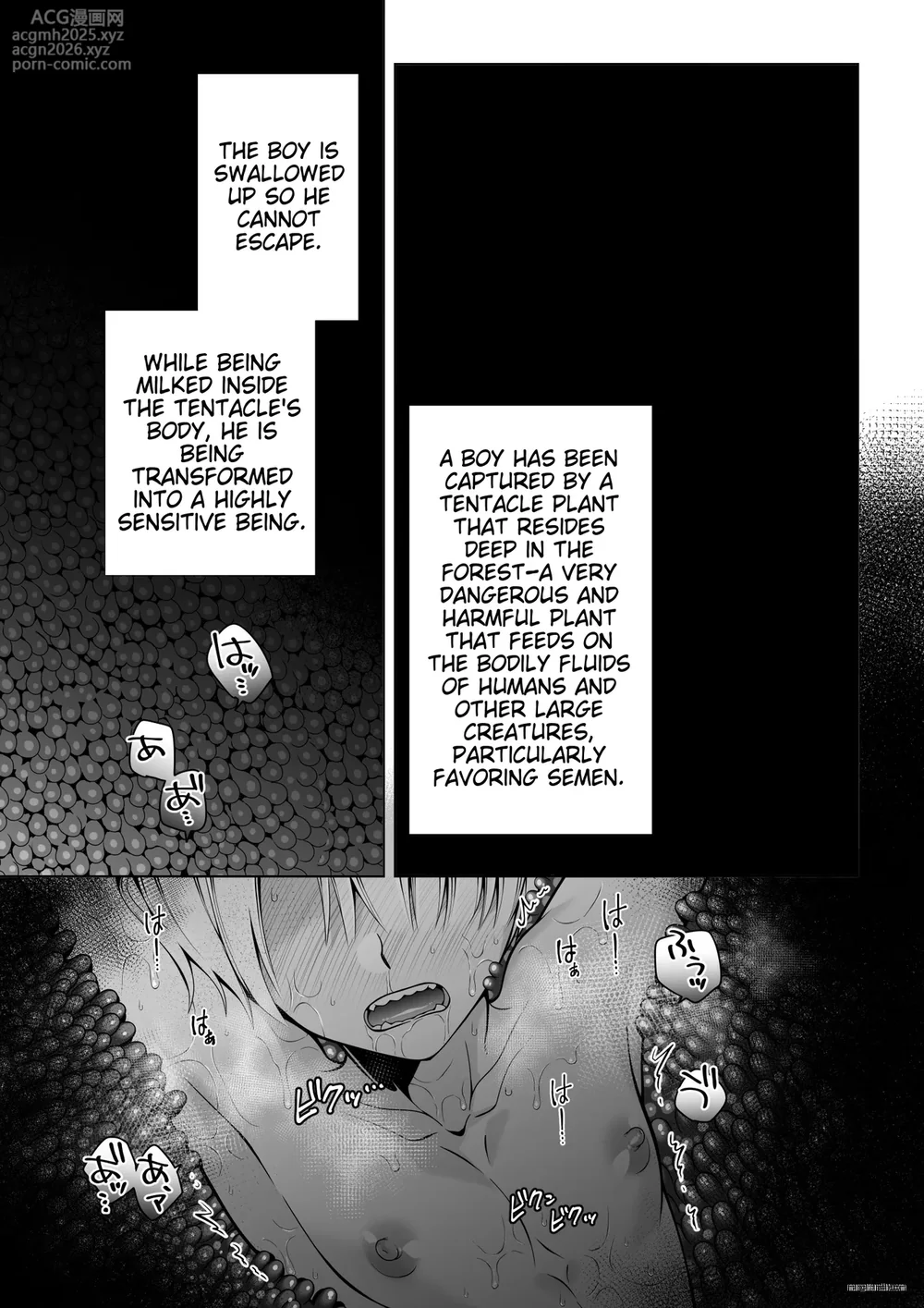 [Jam Natsu (Natsu Jam)] Futago Elf no junan kouhen | The twin elves' trials - Part II [English] [Digital]-5