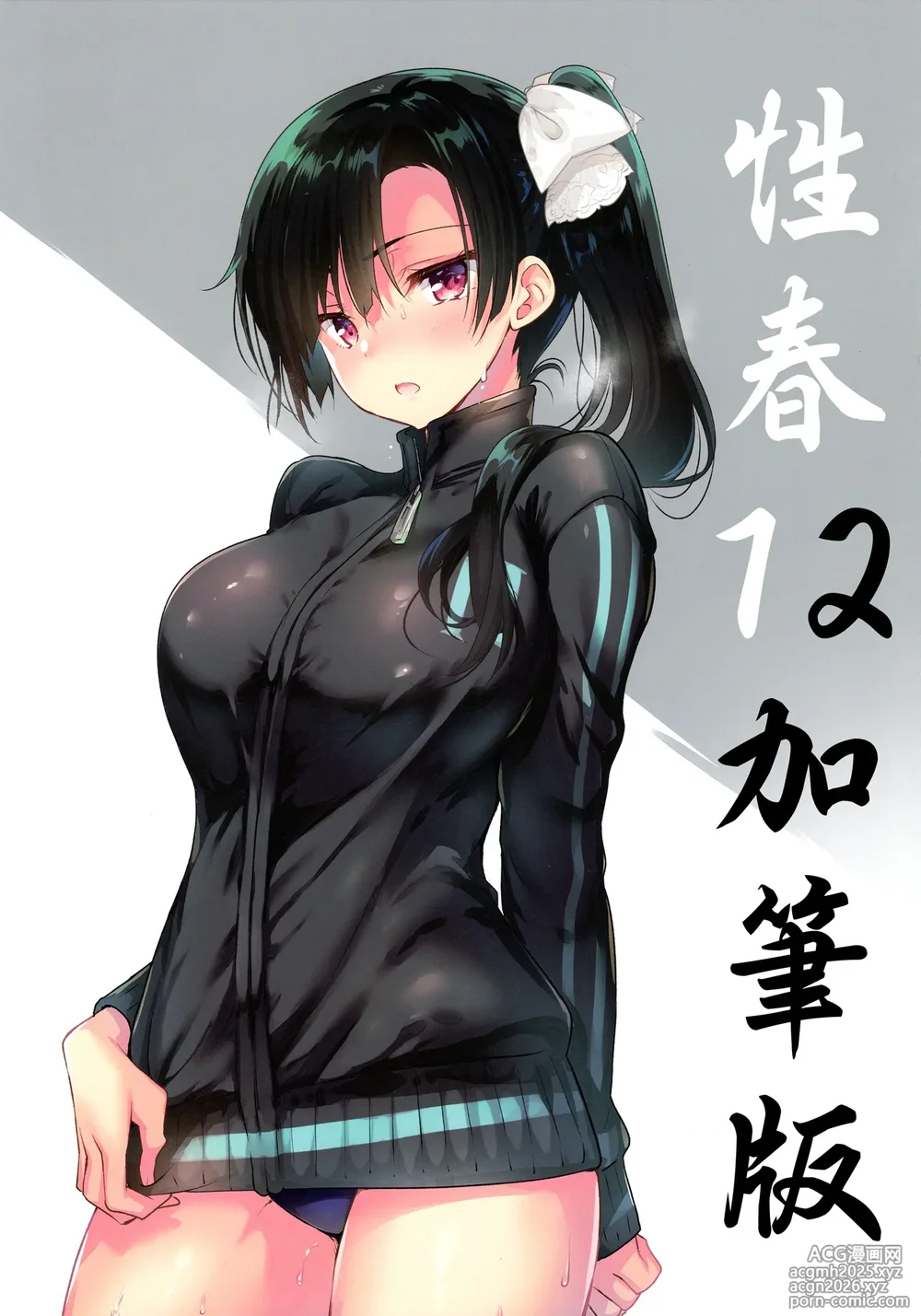 [OTOMEKIBUN (Sansyoku Amido.)] Gakkou de Seishun! Seitokaichou Saori Collection 12-15+18.5+Junai Route+19+20 Omakebon+Taima Seitokaichou Saori [Chinese]-10