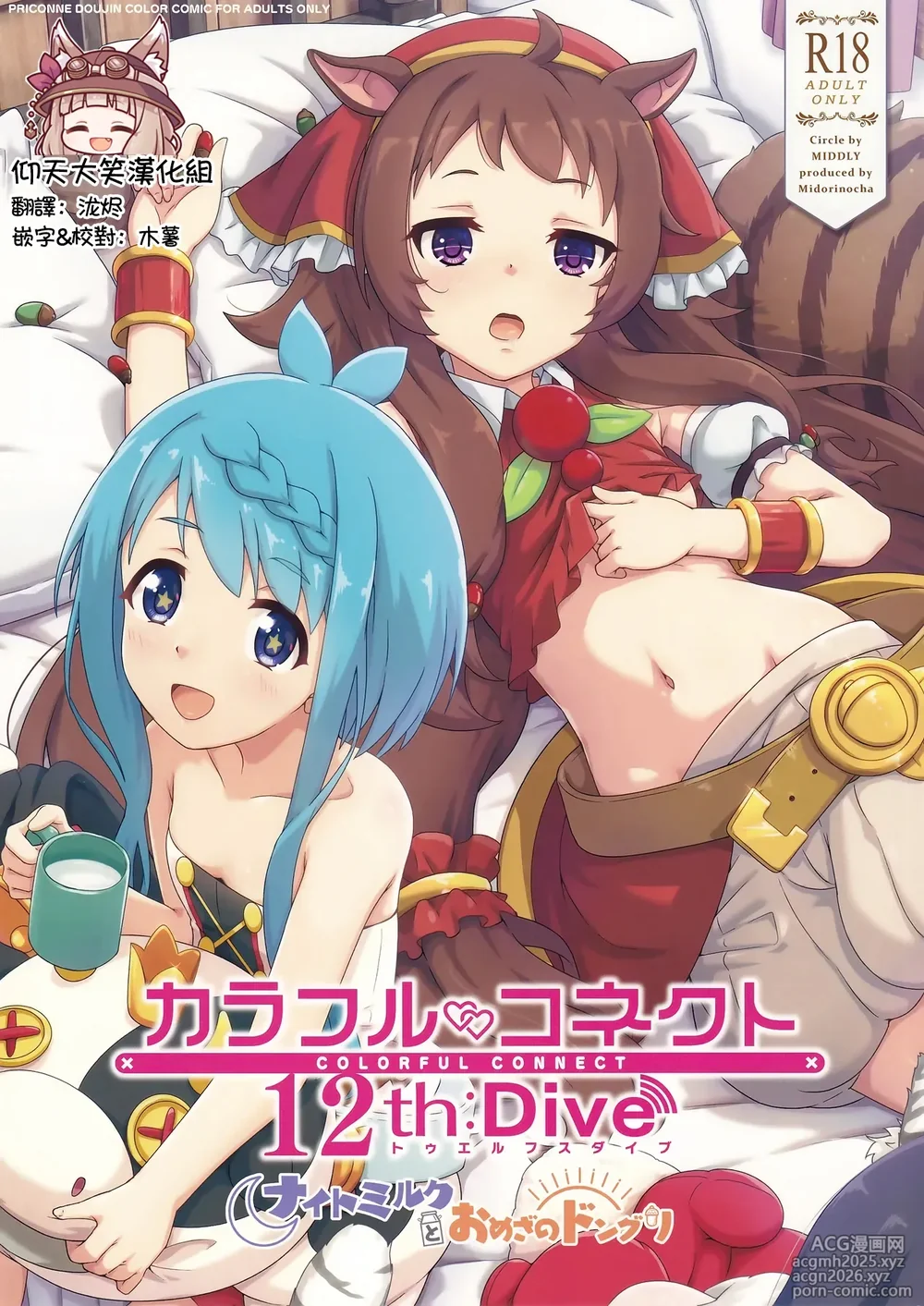 (C106) [MIDDLY (Midorinocha)] Colorful Connect 12th:Dive (Princess Connect! Re:Dive) [Chinese] [仰天大笑公主連結漢化組]-1