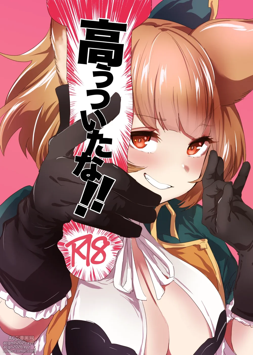 [Rev3 (Monchan rev3)] Takou Tsuita na!! (Granblue Fantasy) [Digital]-1