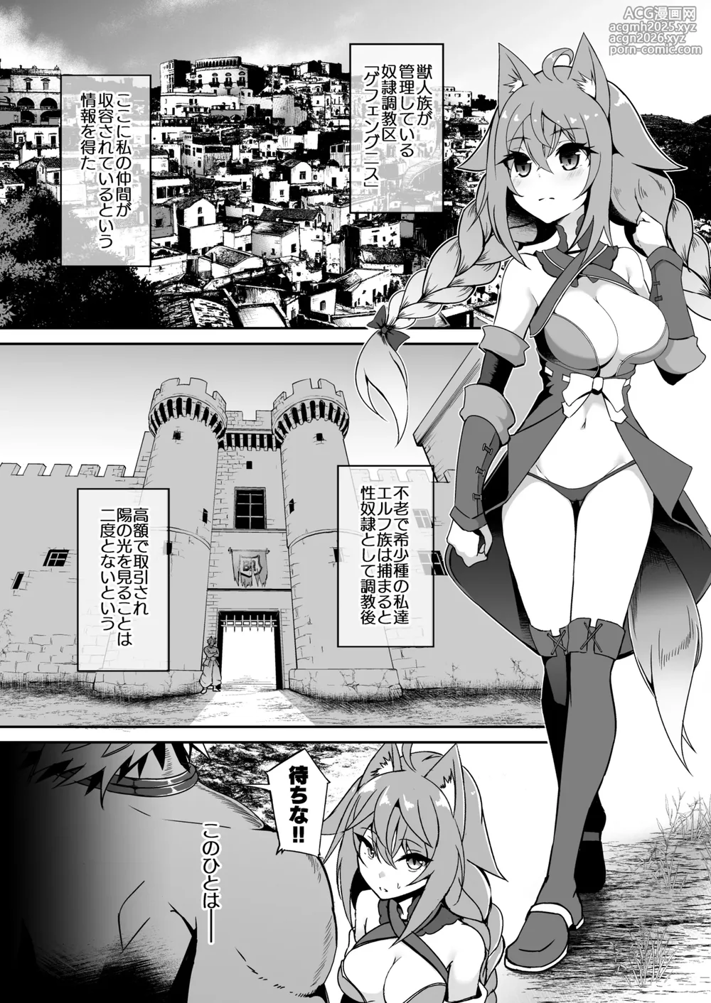 [Hakkindo (Suisui)] Toubou Elf 11 [Digital]-4