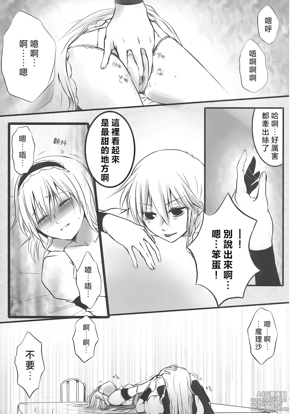 (C75) [Silver＊Garden (Toraneko, Marisu)] Alice Oishii Desu ^p^ (Touhou Project) [Chinese] [Nonothird个人汉化]-9