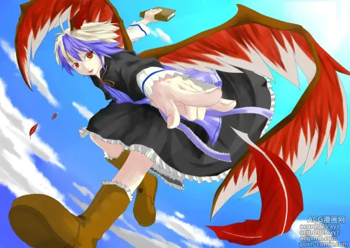 Hujinon
