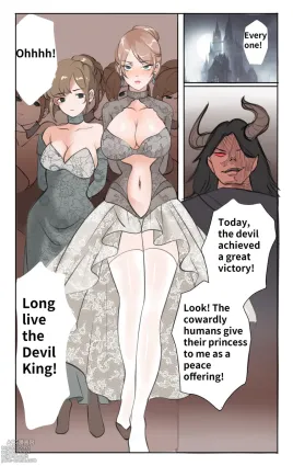 Princess strike back
