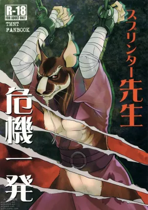 Splinter Sensei Kikiippatsu | Splinter Sensei&#039;s Crisis