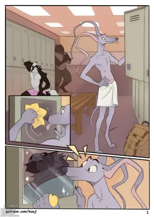 GatoPerro