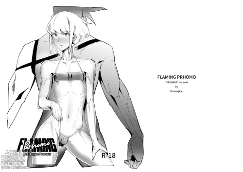 FLAMING PRhomo