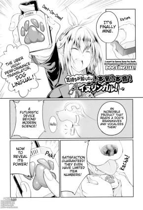 Kimochi ga Shiritai Honki! Honne! Inulingual! | I Want to Know How He Feels. His True Feelings! His True Wishes! Dog Lingual!