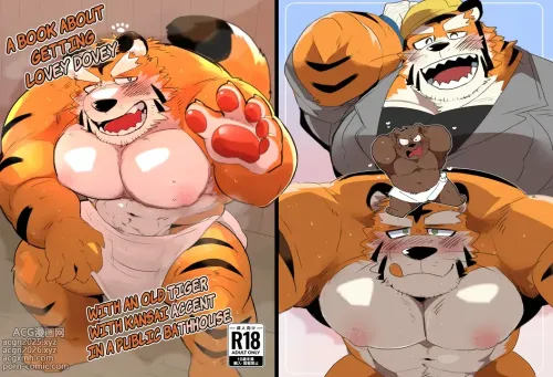 a book about getting lovey dovey with an old tiger with kansai accent in a public bathouse