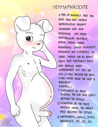 Tails Hermaphrodite biology